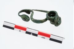 Foto von Bronzemarzabottofibel (NHMW-PRAE-026568)